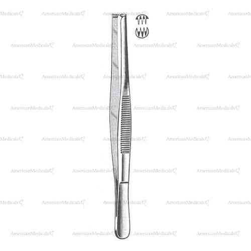 thumb and tissue forceps - 3 x 4 teeth