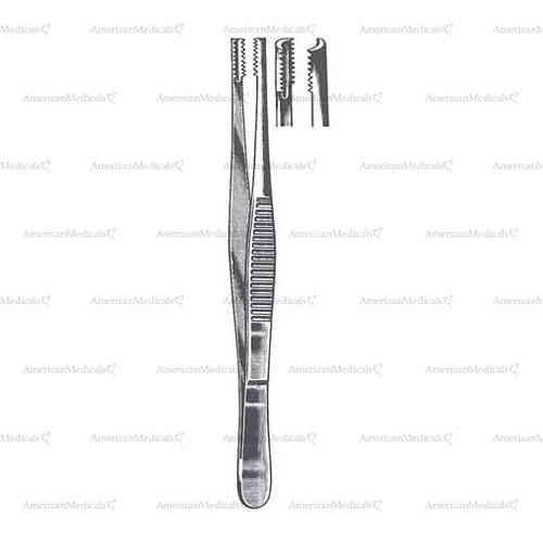 brown forceps - toothed