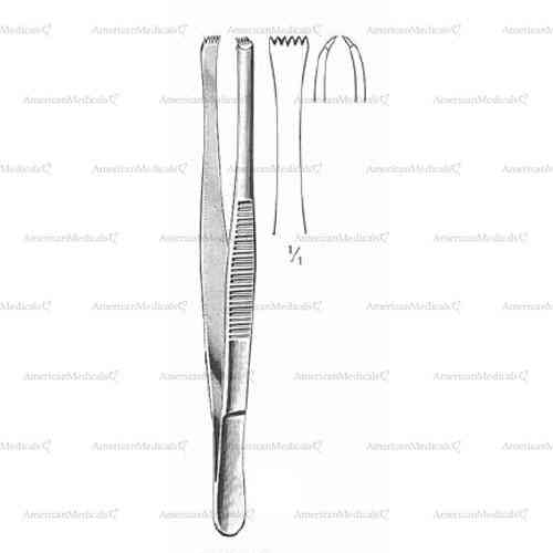 lerche forceps - 5 x 6 teeth