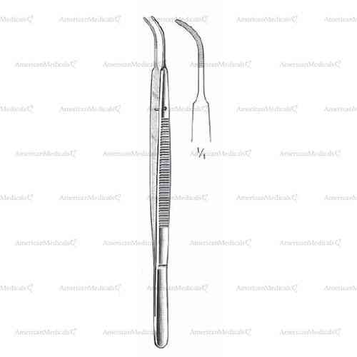 gerald forceps - serrated, curved