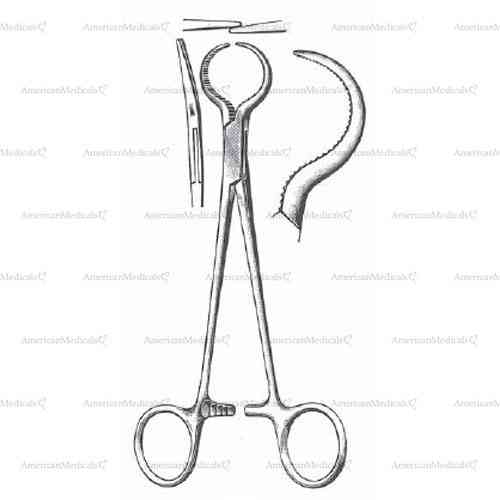 lewin bone holding forceps - 17.5 cm (7")