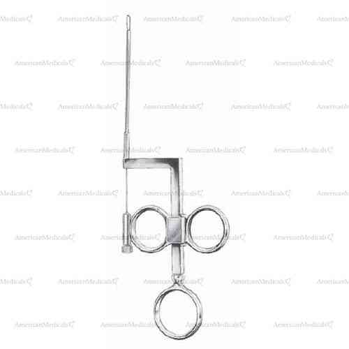 wilde snare ear polypus - 17 cm (6 3/4")