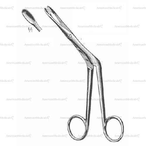 heymann nasal polypus forceps - 18 cm (7 1/8")