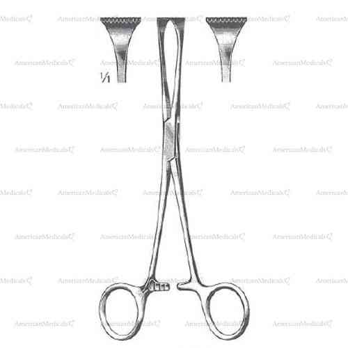 allis-adair tissue forceps - 10 x 11 Teeth - 15.5 cm (6 1/8")