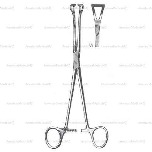 babcock tissue forceps