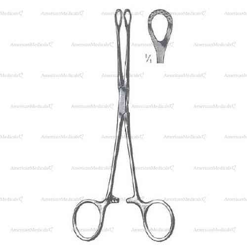 williams grasping forceps - 16.5 cm (6 1/2")