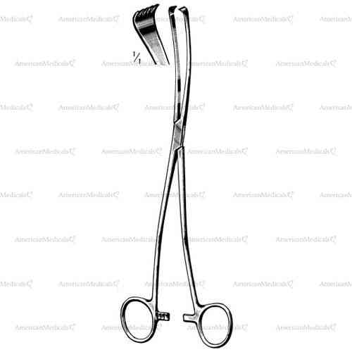 iowa vulsellum forceps - 5 x 6 Teeth - 26 cm (10 1/4")