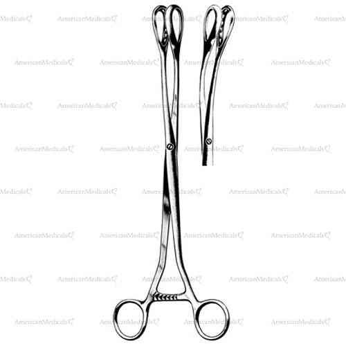 saenger placenta and ovum forceps