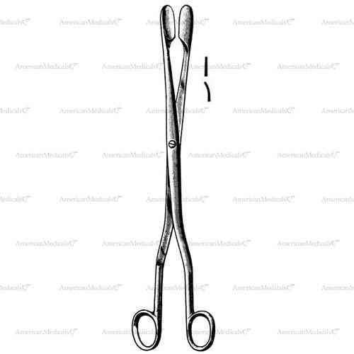 winter placenta and ovum forceps - 28 cm (11")