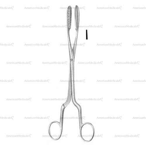 lewkowitz placenta and ovum forceps