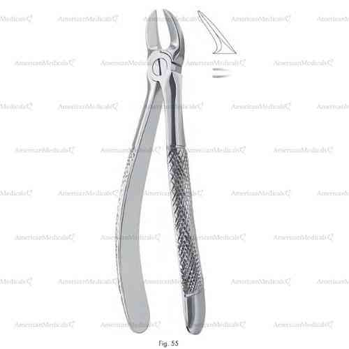 extracting forceps, figure 55 - english pattern