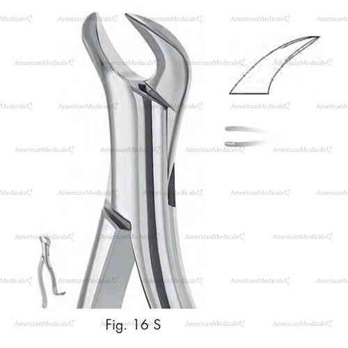 extracting forceps, american pattern - figure 16s