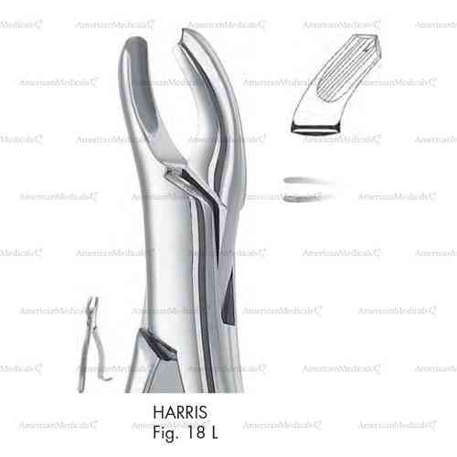 harris extracting forceps, american pattern - figure 18l