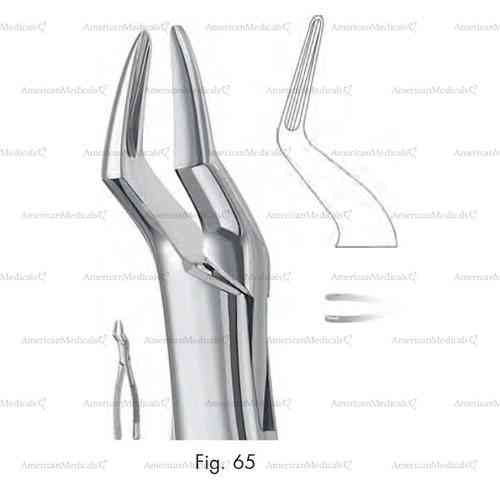 extracting forceps, american pattern - figure 65