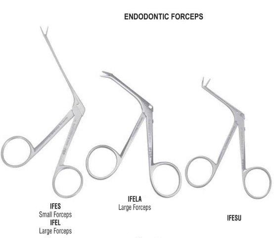 g. hartzell & son endodontic forceps