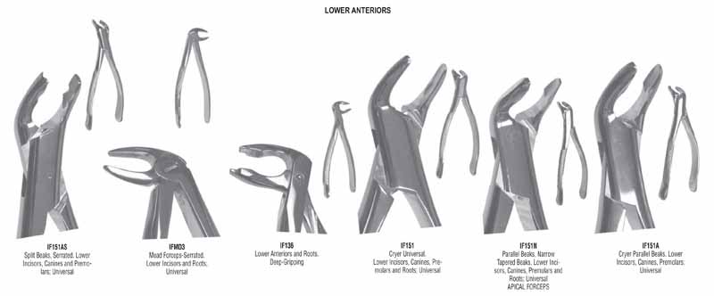 g. hartzell & son lower anterior extracting forceps