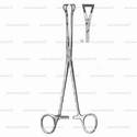 babcock tissue forceps