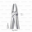 extracting forceps, figure 29n - english pattern