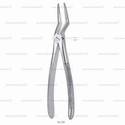 extracting forceps, figure 235 - english pattern