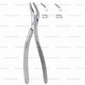 Dental Forceps